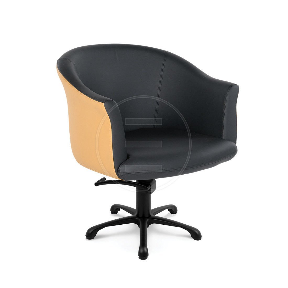 Elegance-KL Color Kuaför Koltuğu