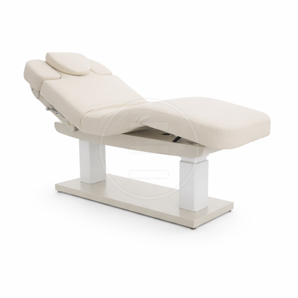 Lyre Basic Lg Wma Cilt Bakım, Masaj ve Terapi Yatağı (4 Motorlu)