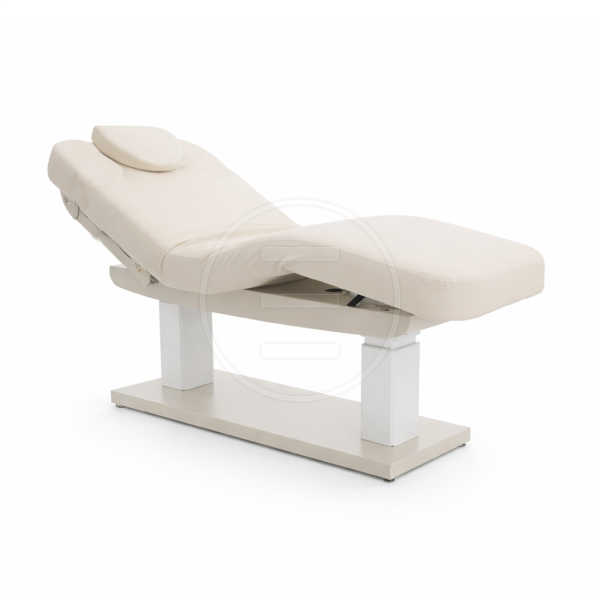 Lyre Basic Lg Cilt Bakım, Masaj ve Terapi Yatağı (4 Motorlu)