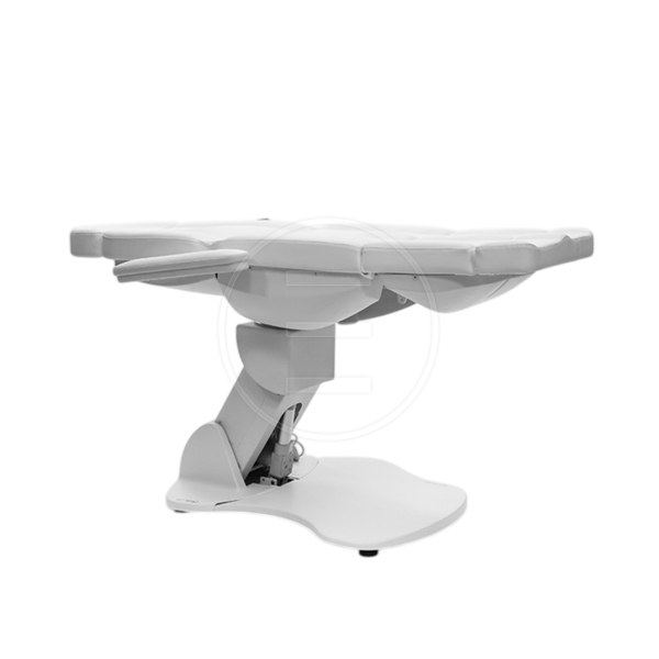 Olenna Treatment Chair (3 Motors)